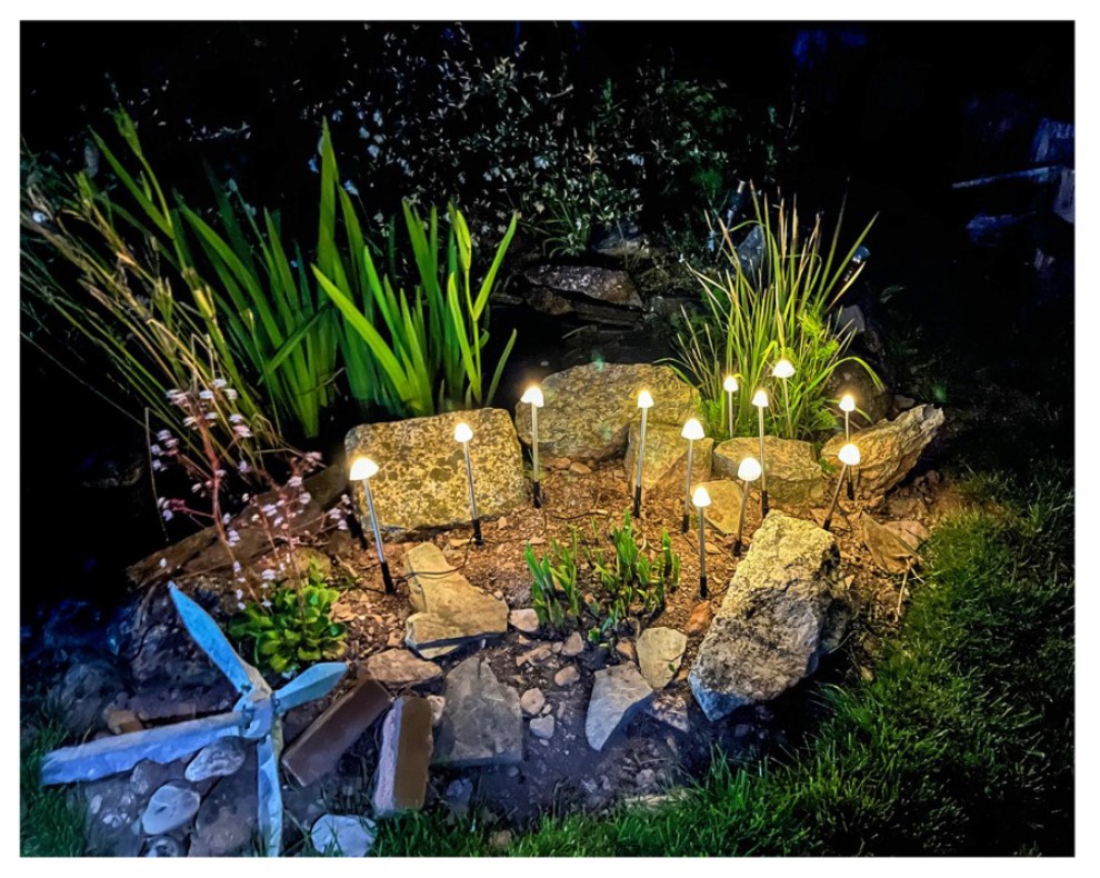 Linda. Garden Lights.