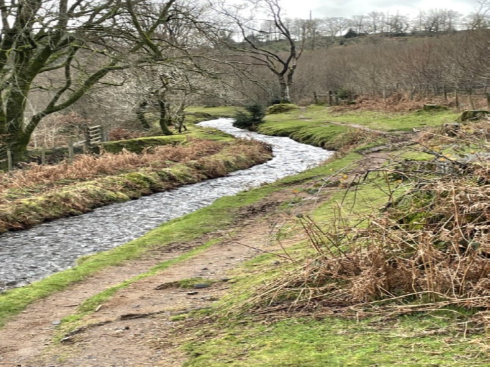 A leat and surrounding countryside.