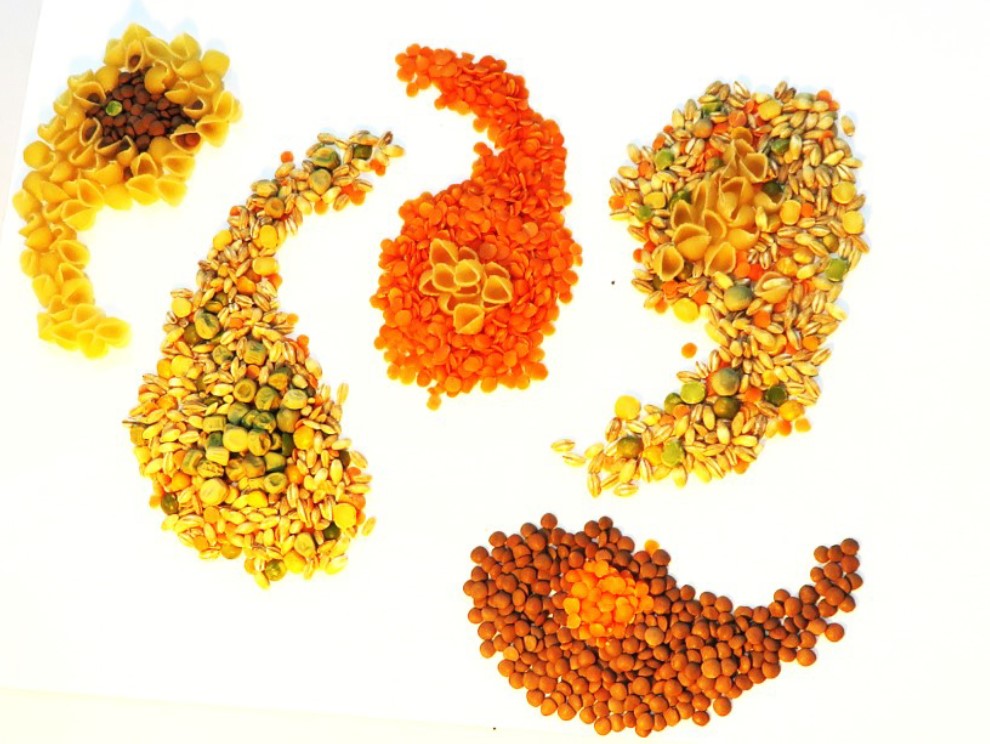 Photo of beans and pulses arranged as a group of quotation marks