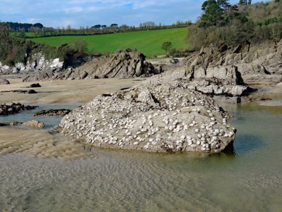 A photo of Mothecombe beach