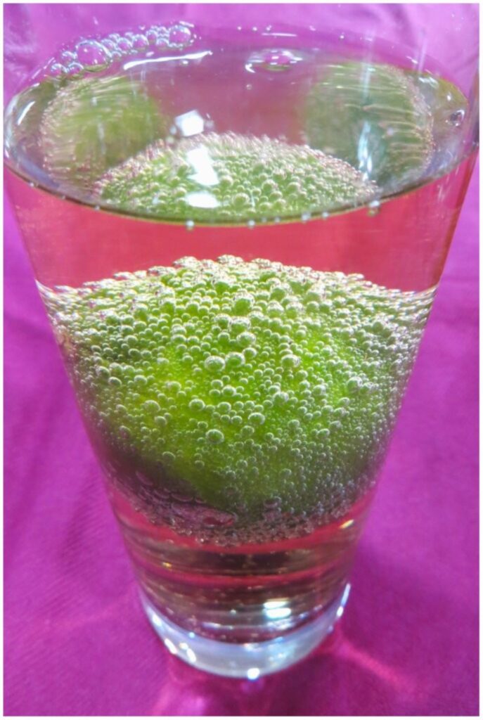 Photo of bubbles in a glass