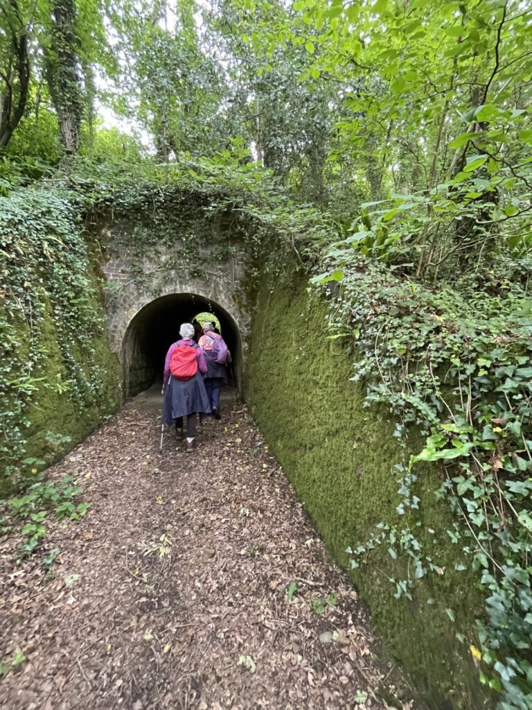 Photo of tunnel