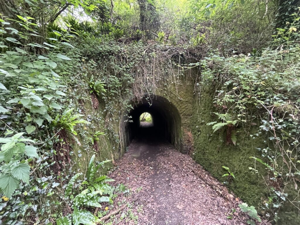 Photo of tunnel
