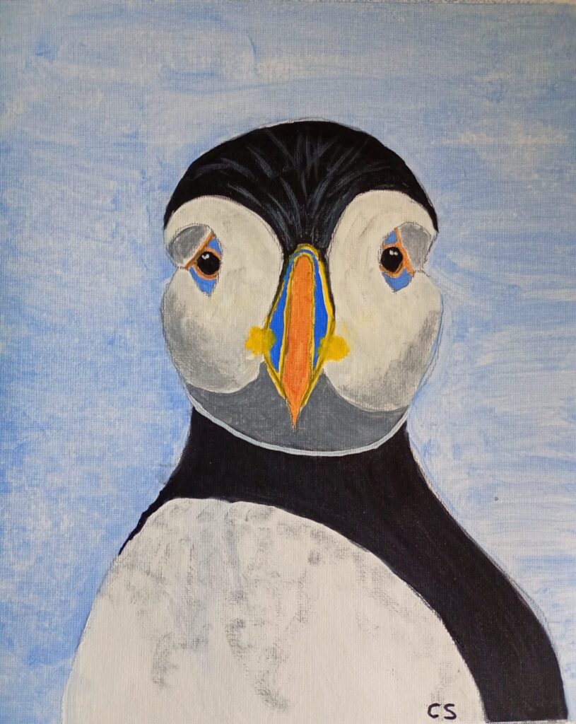 Chris Stone - Penguin