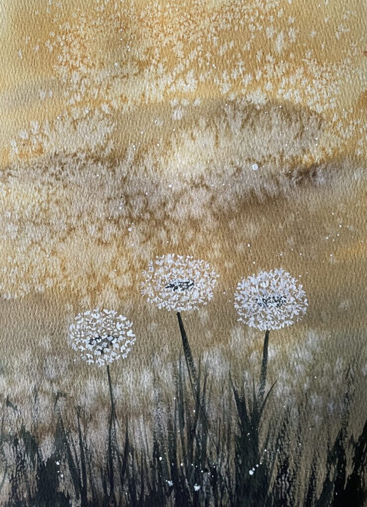 Linda Bracey - Seed Heads