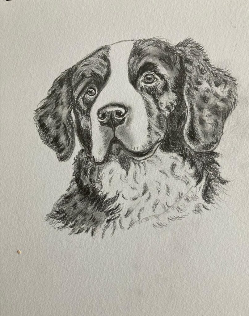 Sue Elliott - Man's Best Friend