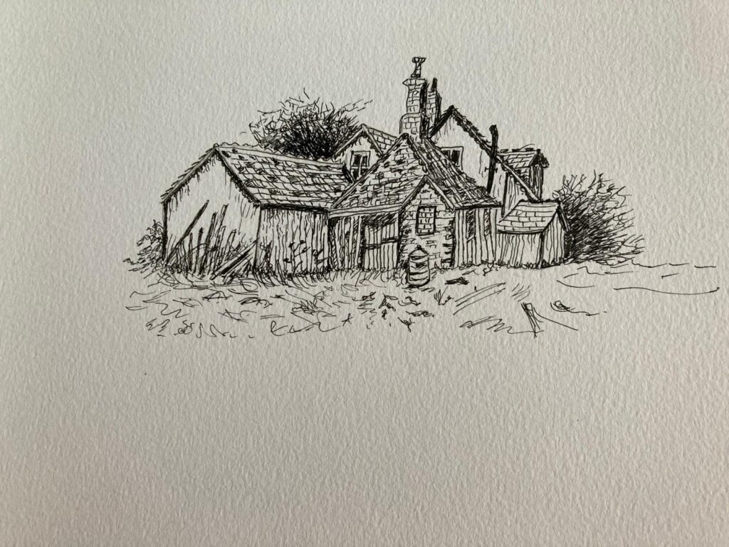 Sue Elliott - The Old Shack