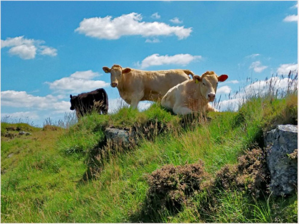 Countryside photo.